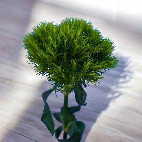 GREEN TRICK